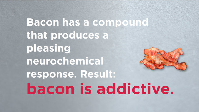 Bacon Fun Facts 05