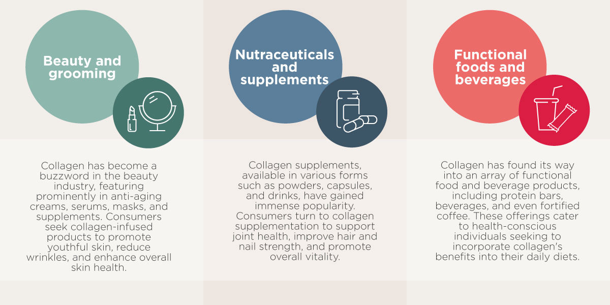 Main Sectors Collagen V3