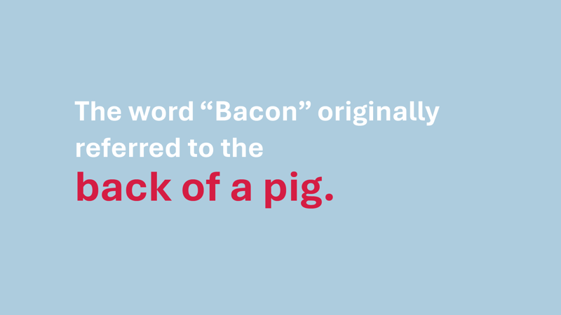 Bacon Fun Facts 2025 3