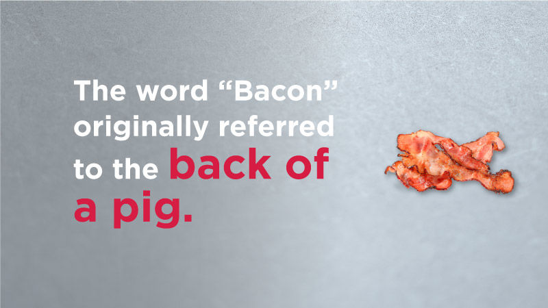 Bacon Fun Facts 02