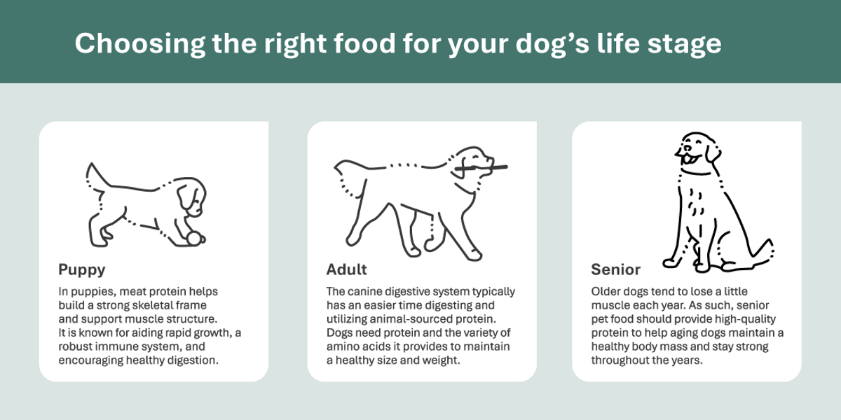 Infogra 5Ways Pet Ap Infogra 5Ways Pet Ap
