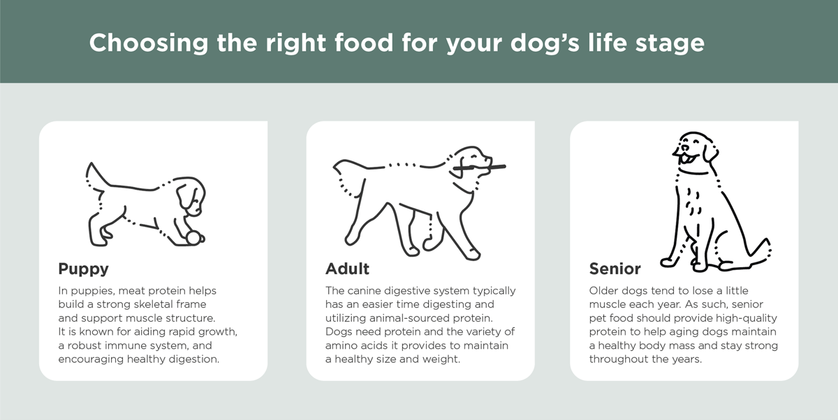 Essentia Infographic Pet Food