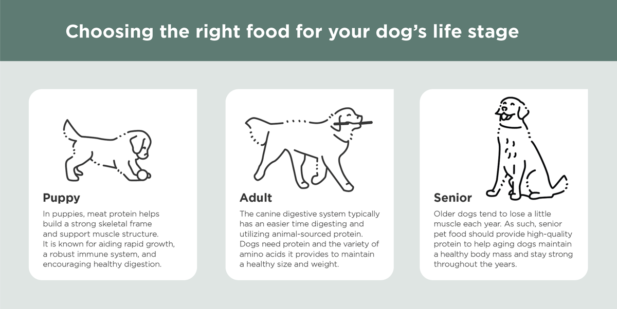 Essentia Infographic Pet Food Essentia Infographic Pet Food