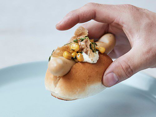 Landing Page Clean Sausage 800X600