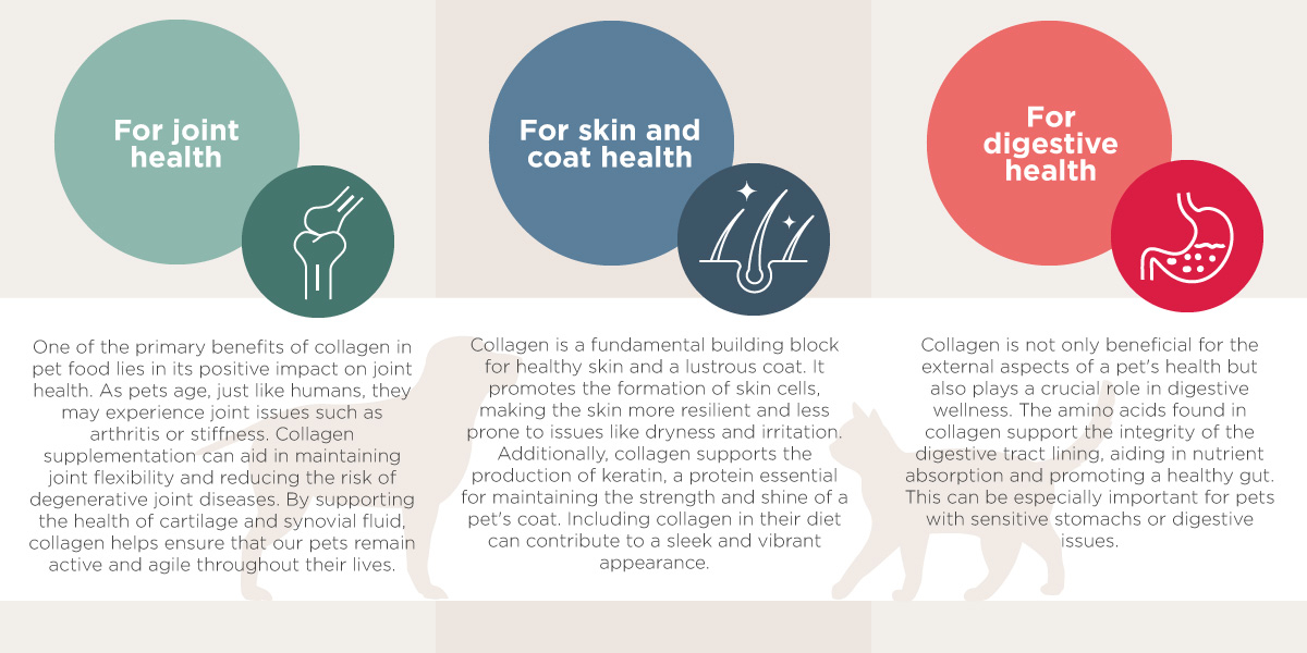 Main Benefits Collagen Pet Trend Main Benefits Collagen Pet Trend