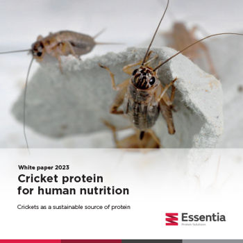 Cricket protein for human nutrition