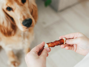 Meat jerky for pets