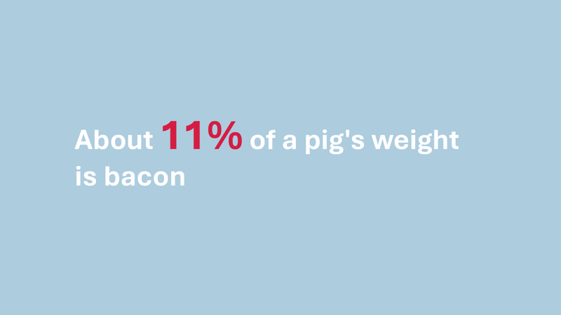 Bacon Fun Facts 2025 4