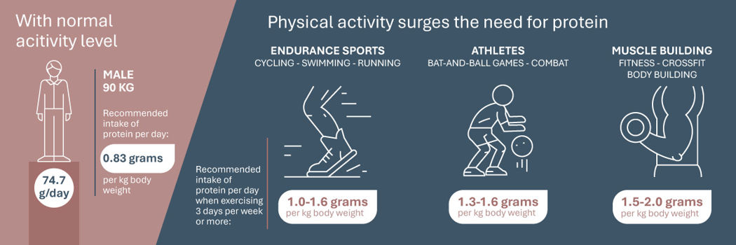 Recommend Intake Protein V02 Ap