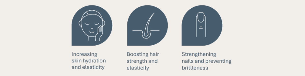 Collagen Benefits Skin Hair Nails 800X200px Ap Collagen Benefits Skin Hair Nails 800X200px Ap