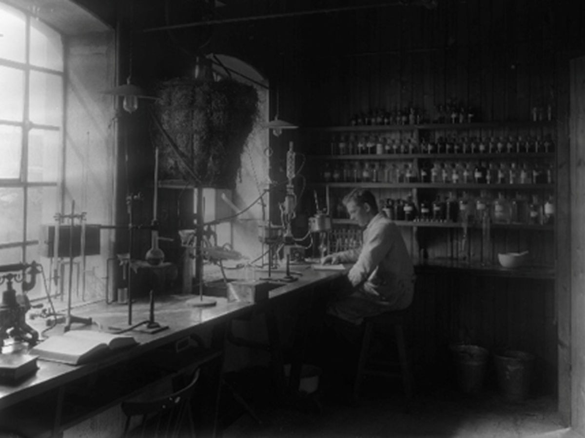 The laboratory assistant arranges samples from the production facility for analysis.