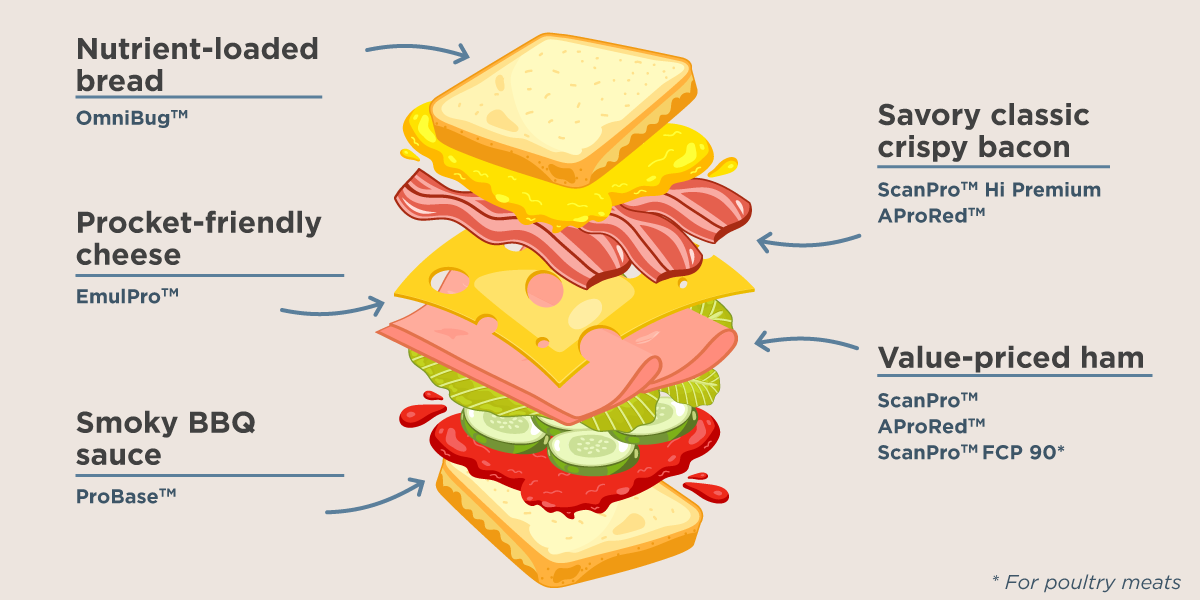 Sandwich Layers 2025 Sandwich Layers 2025