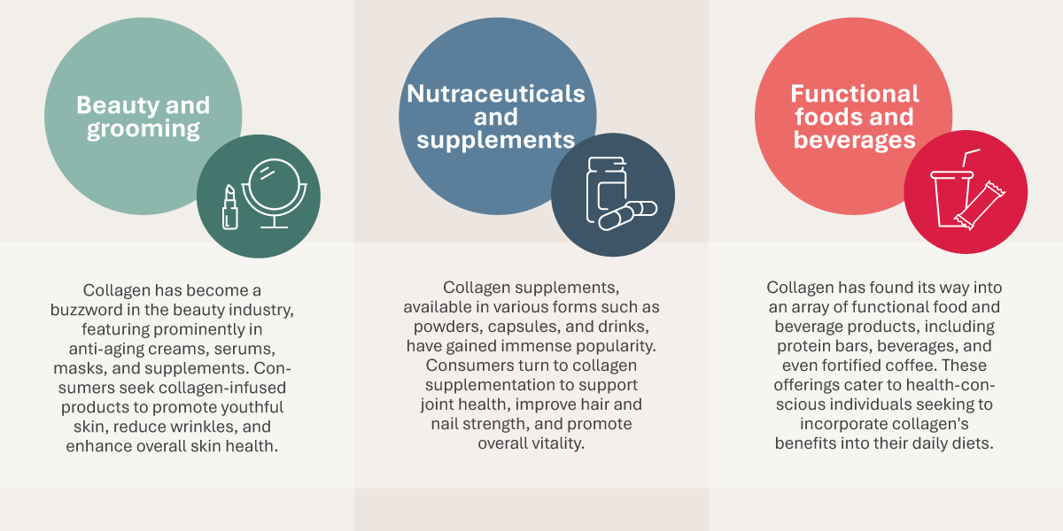 Main Sectors Collagen V3 Ap Main Sectors Collagen V3 Ap