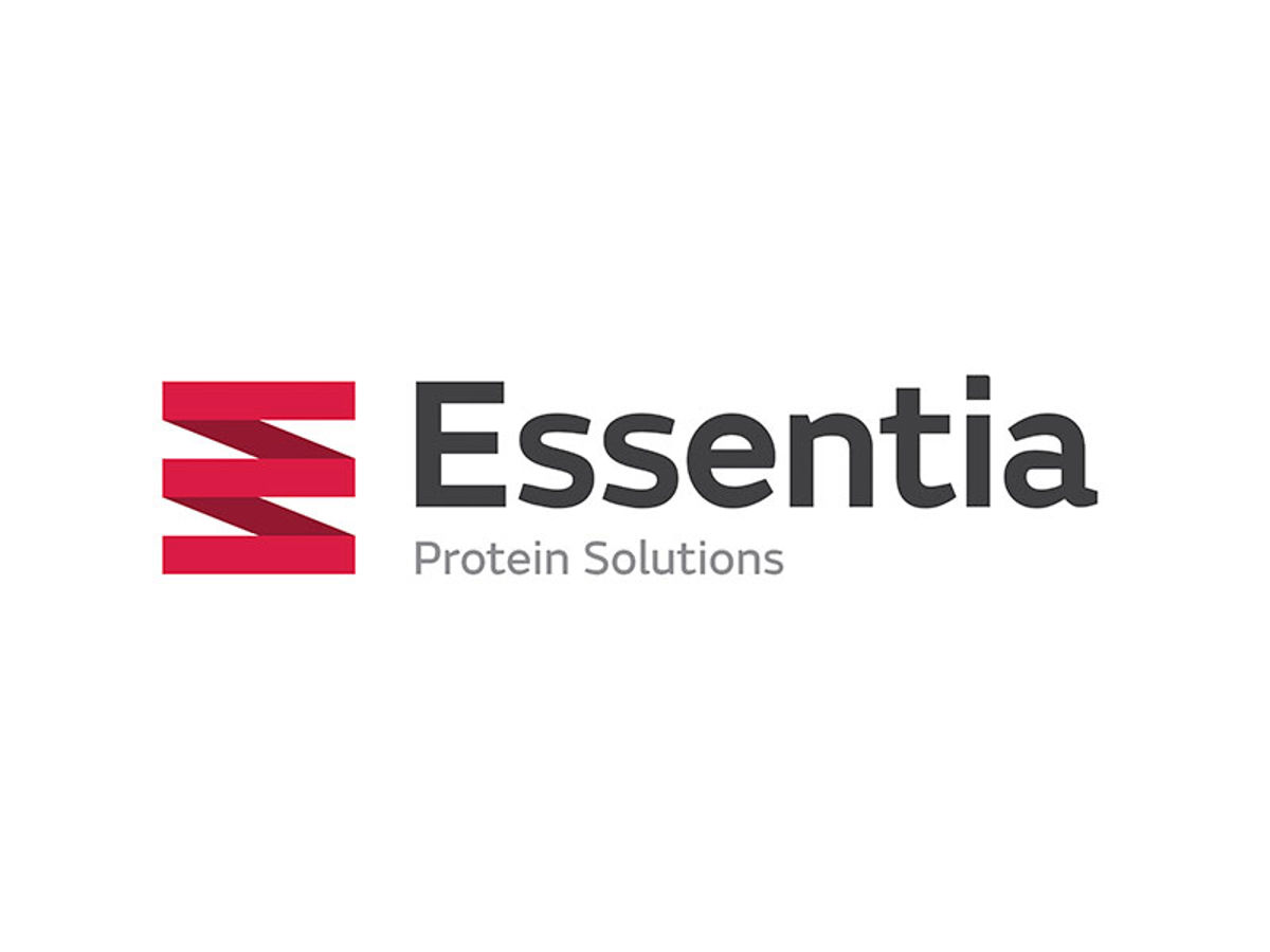 Logo 800X600 Logo 800X600