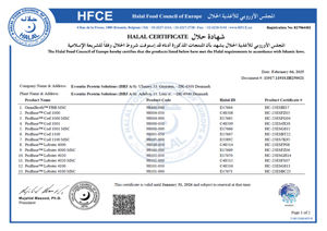 Halal Certificate Hojmark 2025