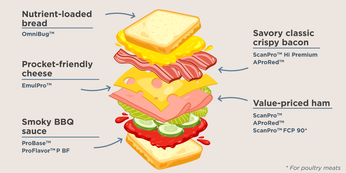 Sandwich Layers V2