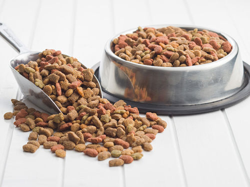 Dog Food Bowl Scoop 800X600